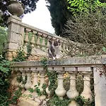 Domaine De Grave 住宿加早餐酒店 5*