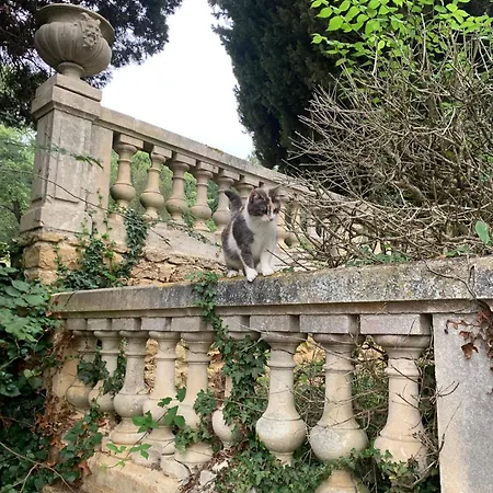 Domaine De Grave Bed and breakfast 5*
