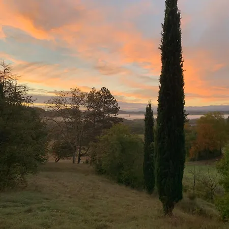 Domaine De Grave