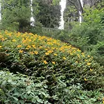 Bed & Breakfast Domaine De Grave