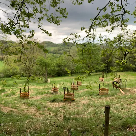 Bed & Breakfast Domaine De Grave Mirepoix (Ariege)