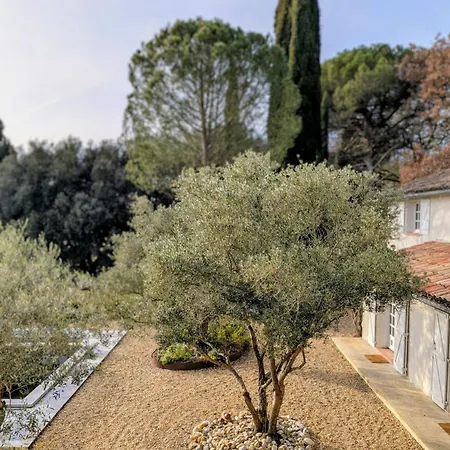 Domaine De Grave
