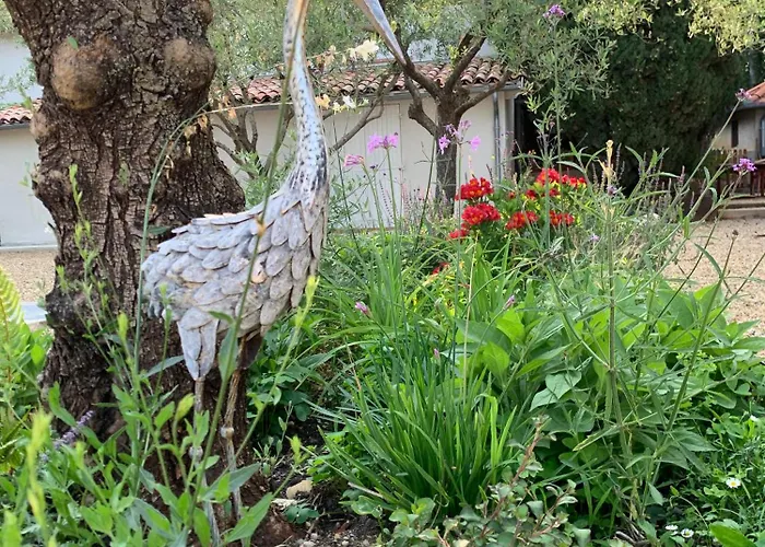 Domaine De Grave Bed & Breakfast 5*