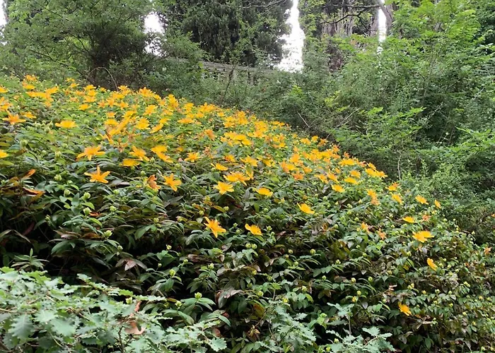 Bed & Breakfast Domaine De Grave