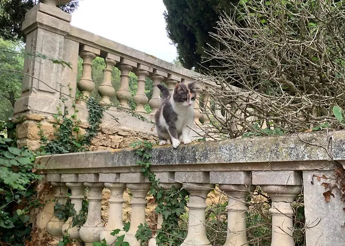 Domaine De Grave Bed & Breakfast 5*